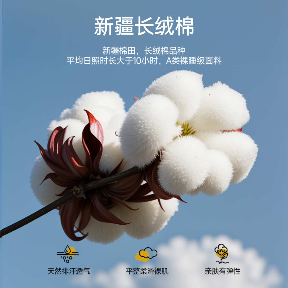 60支全棉纯棉四件套轻奢高级感被套床单床笠被罩床上用品夏凉礼盒