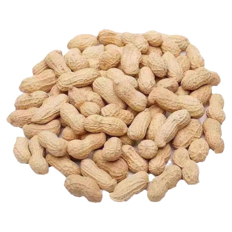 新货原味河南炒花生熟铁锅带壳