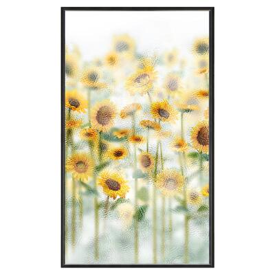 透光不透明窗户防走光贴纸