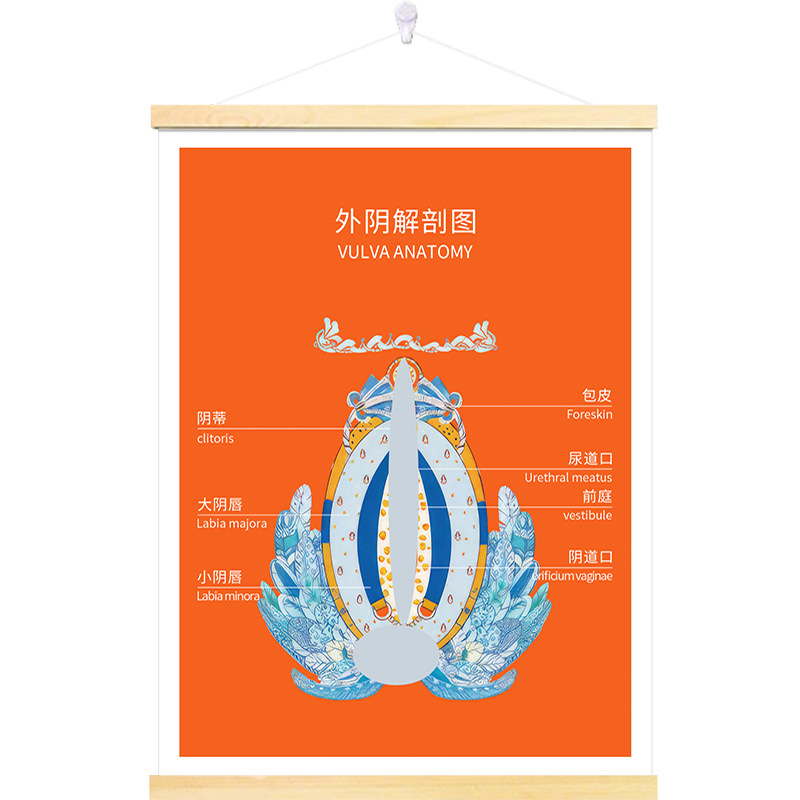 私密广告海报装饰妇科门诊挂画女现代装饰画