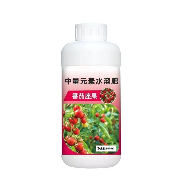 番茄催花座果灵番茄强效授粉免人工西红柿保花保落果新款授粉神器