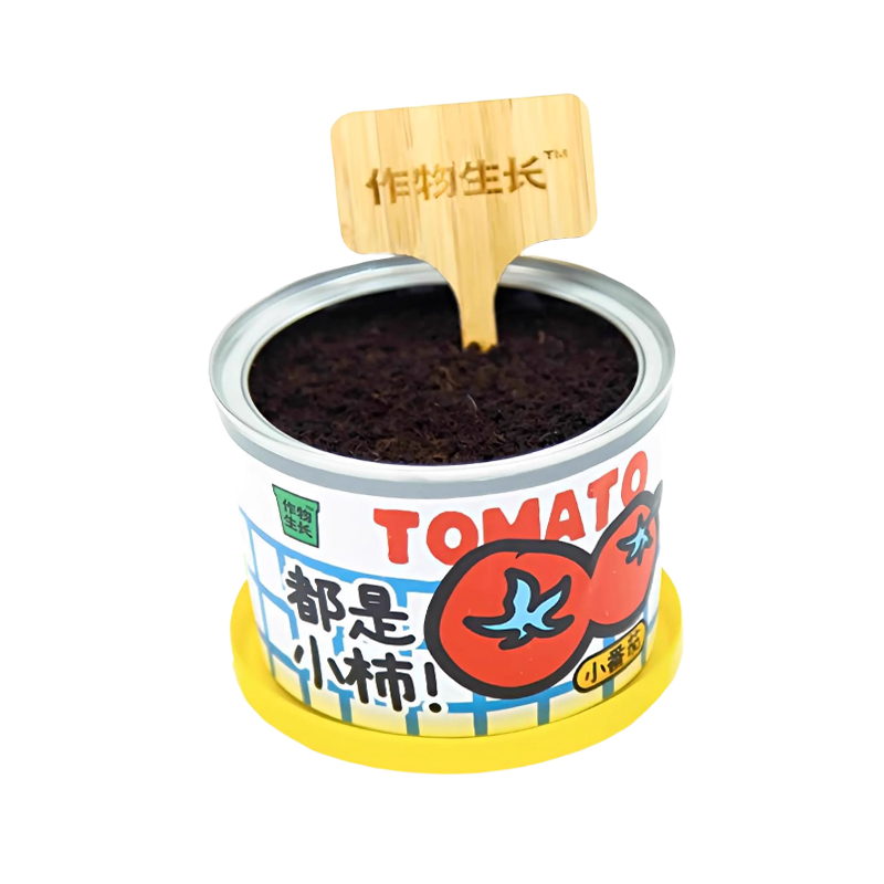 罐头小盆栽植物绿植创意礼品