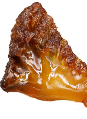 正宗野生海蜇头脆爽凉拌即食