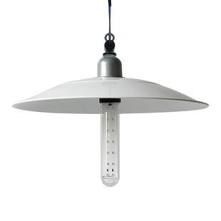 太阳能直流12V黑光诱虫灯户外养殖鱼塘水产养蛙诱虫灯捕蝉黑光灯