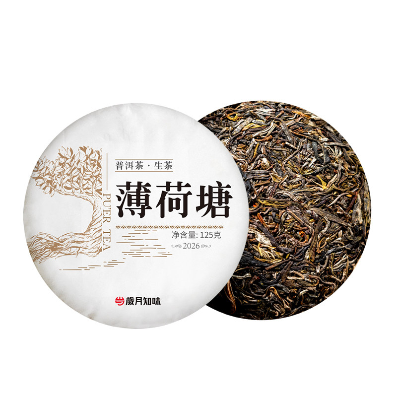 岁月知味易武薄荷塘普洱生茶