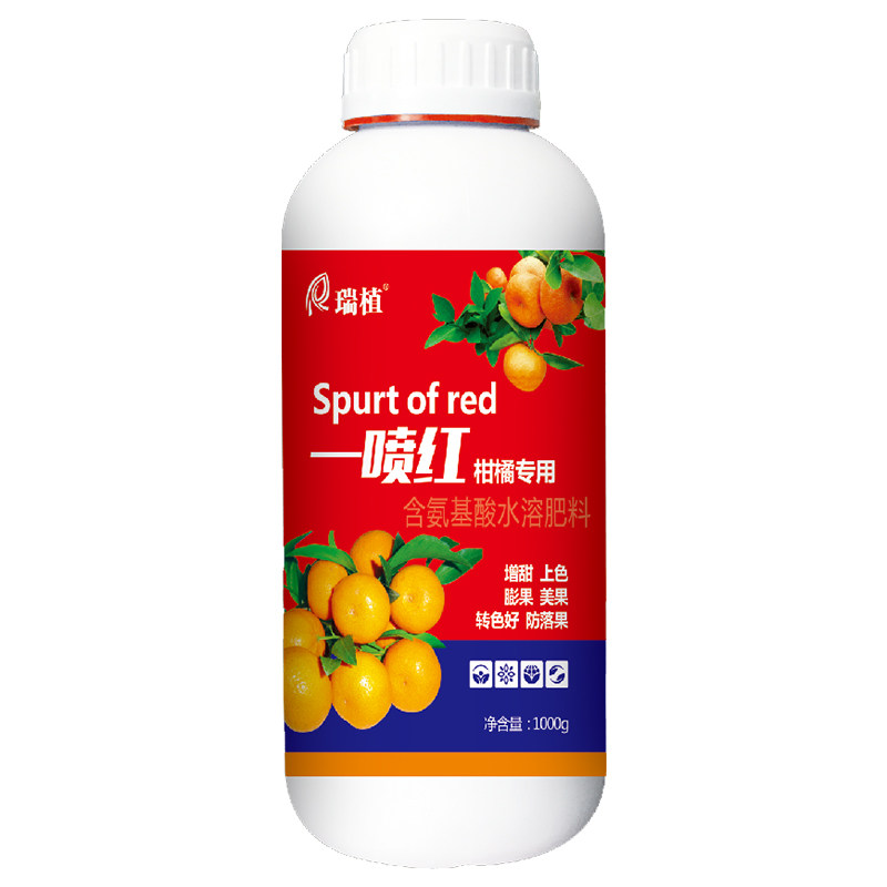 沙糖橘一喷红上色催红剂柑橘膨大砂糖橘不催熟着色增甜蜜素叶面肥