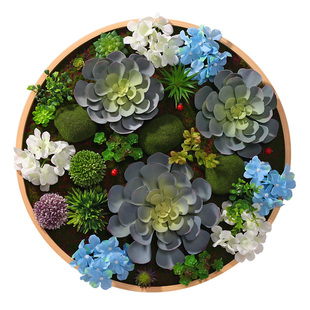 圆形仿真多肉绿植框壁挂北欧现代绿植墙立体壁饰高仿植物墙装饰品