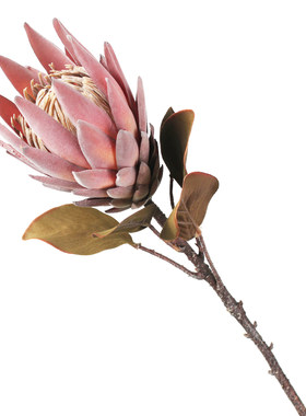 仿真花大帝王花客厅室内装饰假花