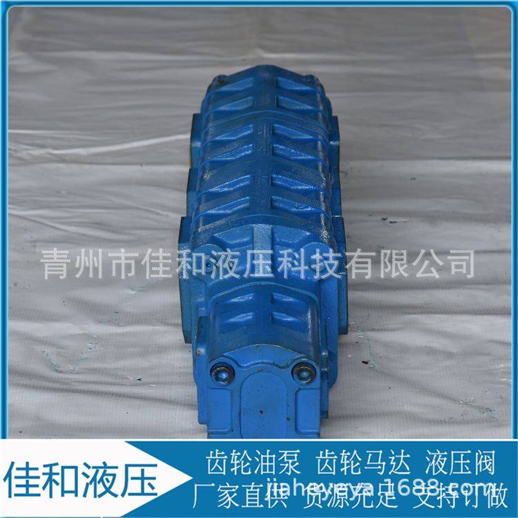 非标齿轮泵加工定制   非标尺寸液压油泵  运行效率高,标准件/零部件/工业耗材,液压泵,淘宝优惠券,粉丝福利购,淘宝优惠卷