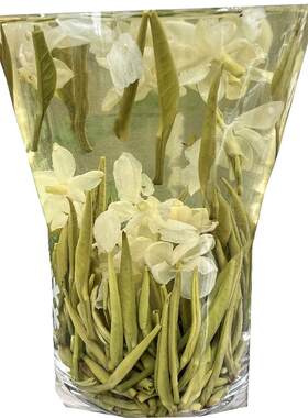 2026雅安蒙顶茉莉兰雪兰妃花茶
