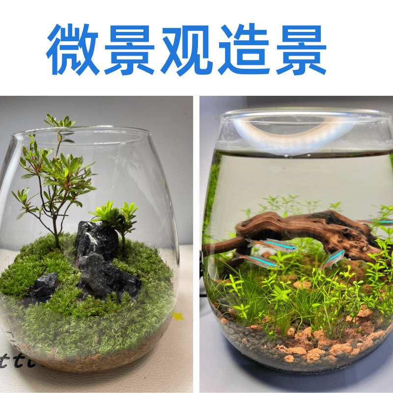 精洗精筛鱼缸造景青龙火山石石泥净水水草溪流砂水草底铺底石天然