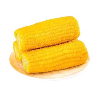 正宗东北新鲜黄糯玉米软糯拉丝独立真空包装寒地黑土一年一季