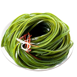 净重5斤荣成海带厚盐渍海带丝非特级半干货凉拌菜商用新鲜海带丝