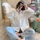 YSD-6604#