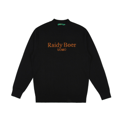 【舒弹羊毛】Raidy Boer/雷迪波尔2025秋冬男半高领针织毛衣5055