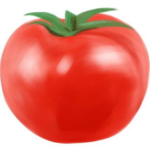 欧洲巨型牛排番茄种子 老品种大西红柿种籽 沙瓤菜种蔬菜苗孑子秧