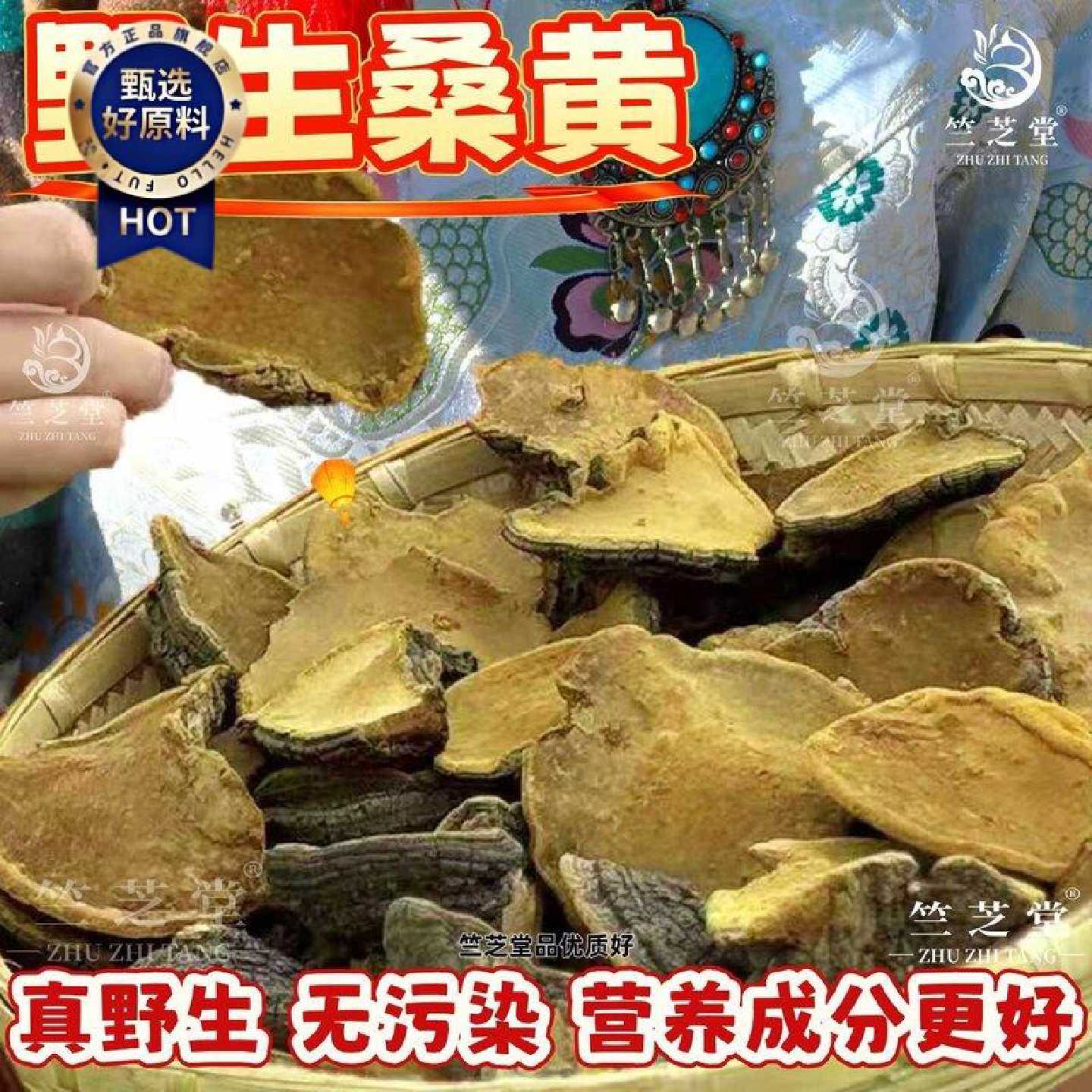 真正野生桑黄正品桑黄正宗野生桑黄灵芝桑黄茶干货