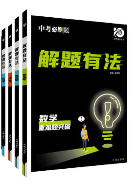 必刷题2025新版中考专项练习