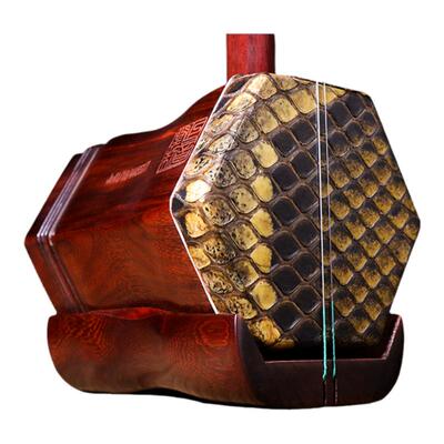 正音堂二胡专业演奏收藏