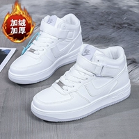 AJ22 White Plus Velvet