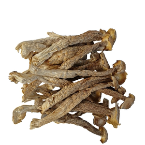 特级干鹿茸菇500g，泡发率高超赞