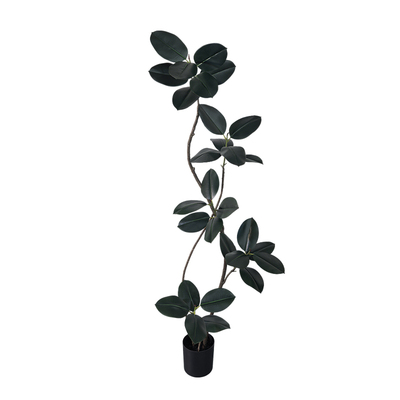 黑金刚橡皮树仿真绿植客厅装饰