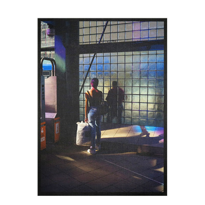 【现货】摄影师David Rothenberg  罗斯福站Roosevelt Station 英文原版进口图书摄影集摄影书 Perimeter Editions出版社