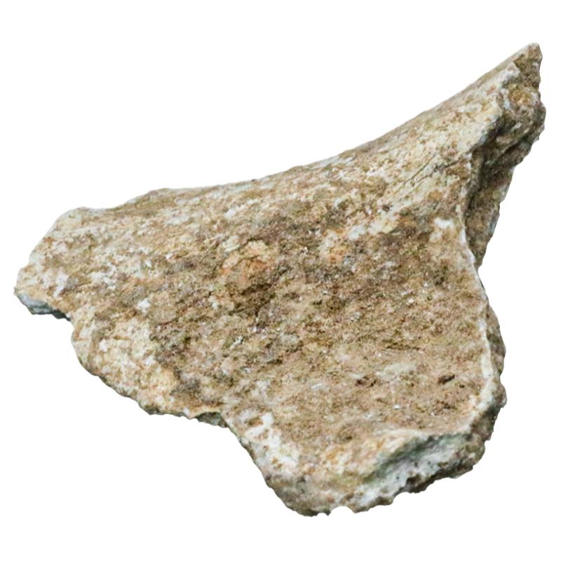 四川江油药王谷龙骨中药材精选