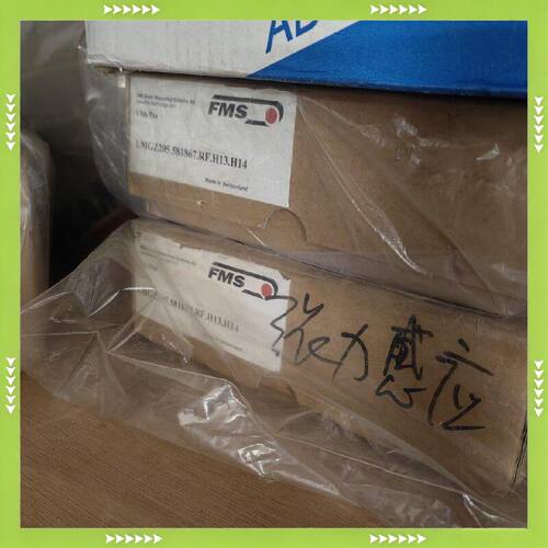 【问价】FMS LMGZ205.581867.RF.H13.H1