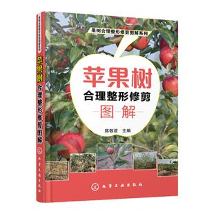 果树合理整形修剪图解系列 苹果树合理整形修剪图解 本书以图文并茂的方式介绍果树整形修剪的基础 注重实用性文字言简意赅通俗易