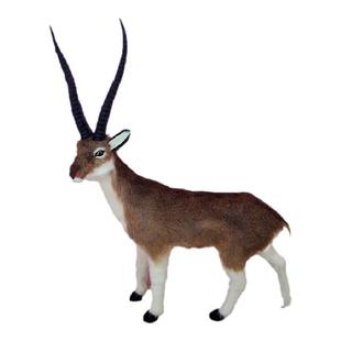 仿真大号小号个月藏羚羊毛绒玩具摆件真狍子毛玩偶长角模型羊动物