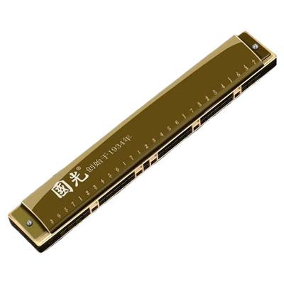 国光国之梦28孔24孔复音重音口琴