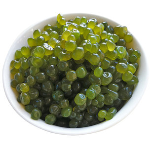 葛仙米 新鲜葛仙米2斤食品组合食用鲜活淡水水产湖北武汉特产