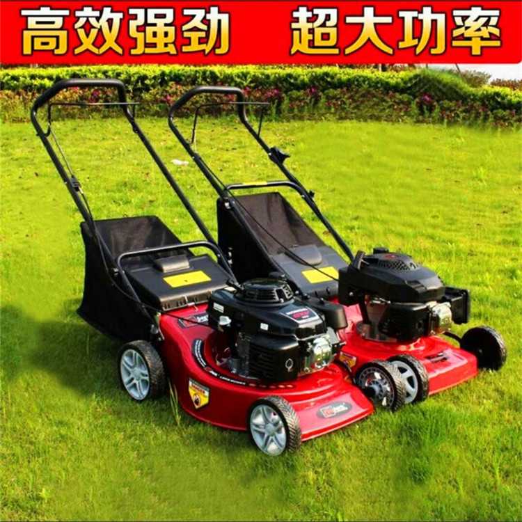 直销果园农田手推式割草机草坪除草机汽油四冲程20寸收割除草机