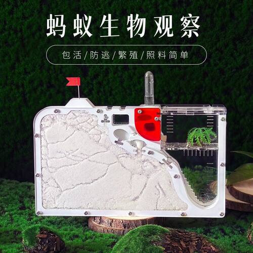 养蚂蚁生态箱蚂蚁城堡 蚁巢亚克力沙巢送蚁后学生观察生态箱蚁巢