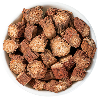 野生中药材丹参寻百草