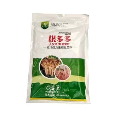 根多多草坪速成坪生根壮苗琳海