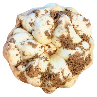 2025新挖新鲜百合食用恩施农家种植土特产当季特级非宜兴龙牙兰州