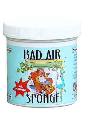 美国BadAirSponge甲醛装修汽车