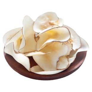 海底椰500g新鲜海底椰片干货煲汤包膏材料另有雪梨干灯芯草竹蔗