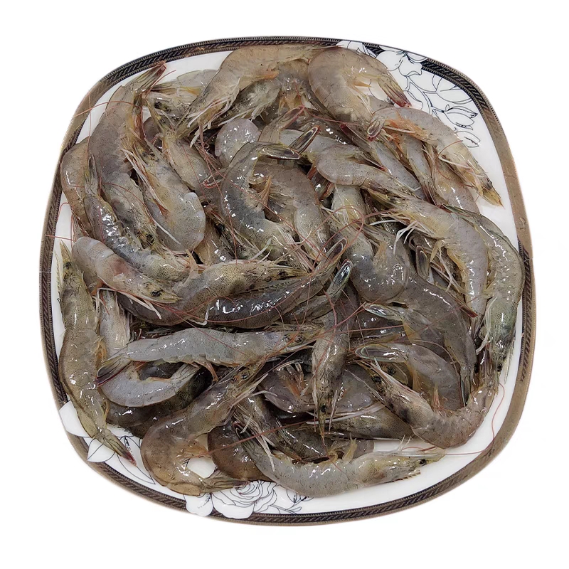 淡水小虾水库放养湖水虾现捕现捞净重无冰可油炸小炒商用发顺丰