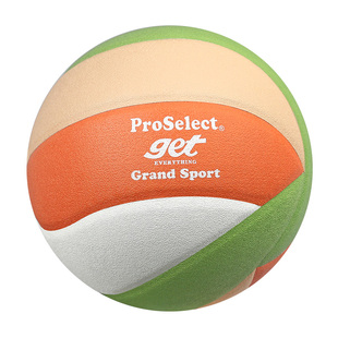 ProSelect专选排球专业贴皮标准学生中考考试专用排球训练硬排5号