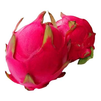 现摘海南红心火龙果一号新鲜