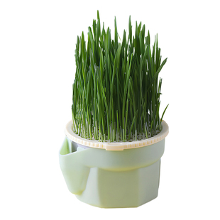 猫草水培盆懒人水培杯种植猫草杯盆栽排毛球化毛草猫草盆猫咪零食