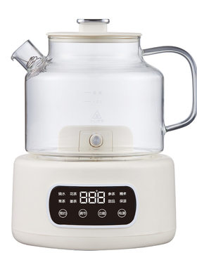 110V养生壶多功能花茶壶