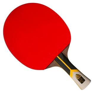 友谊729乒乓球拍9星金标专业级正品单拍学生兵乓球拍678星横拍1只
