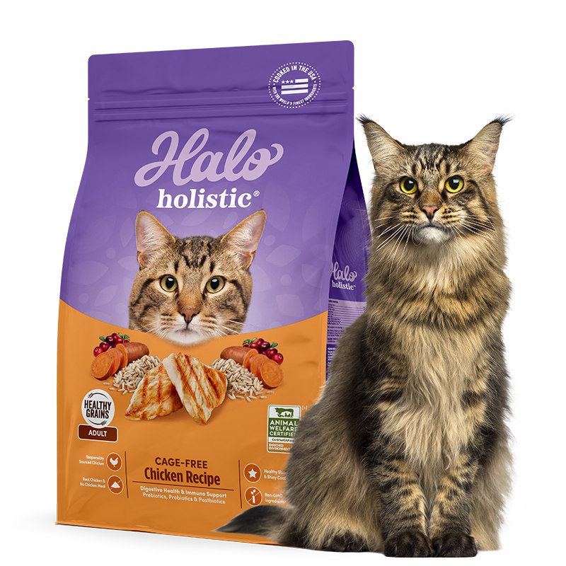 自然光环成猫健美鸡猫粮美国进口