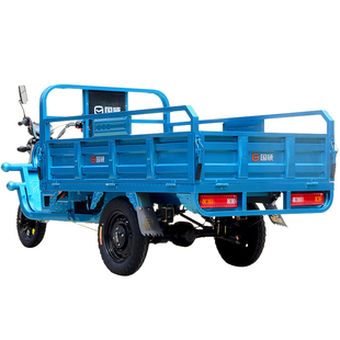 成人小型家用电瓶车电动三轮车厂家直销拉货农用新国标国威品牌车