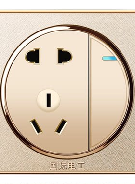 国际电工金色圆形单开双开双控