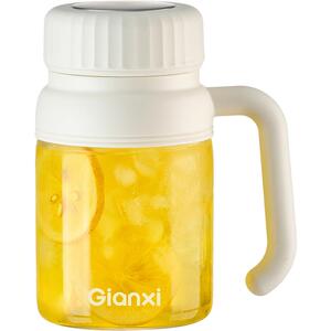 捷安玺大容量玻璃杯女高颜值2026新款带把办公室泡茶水分离水杯子